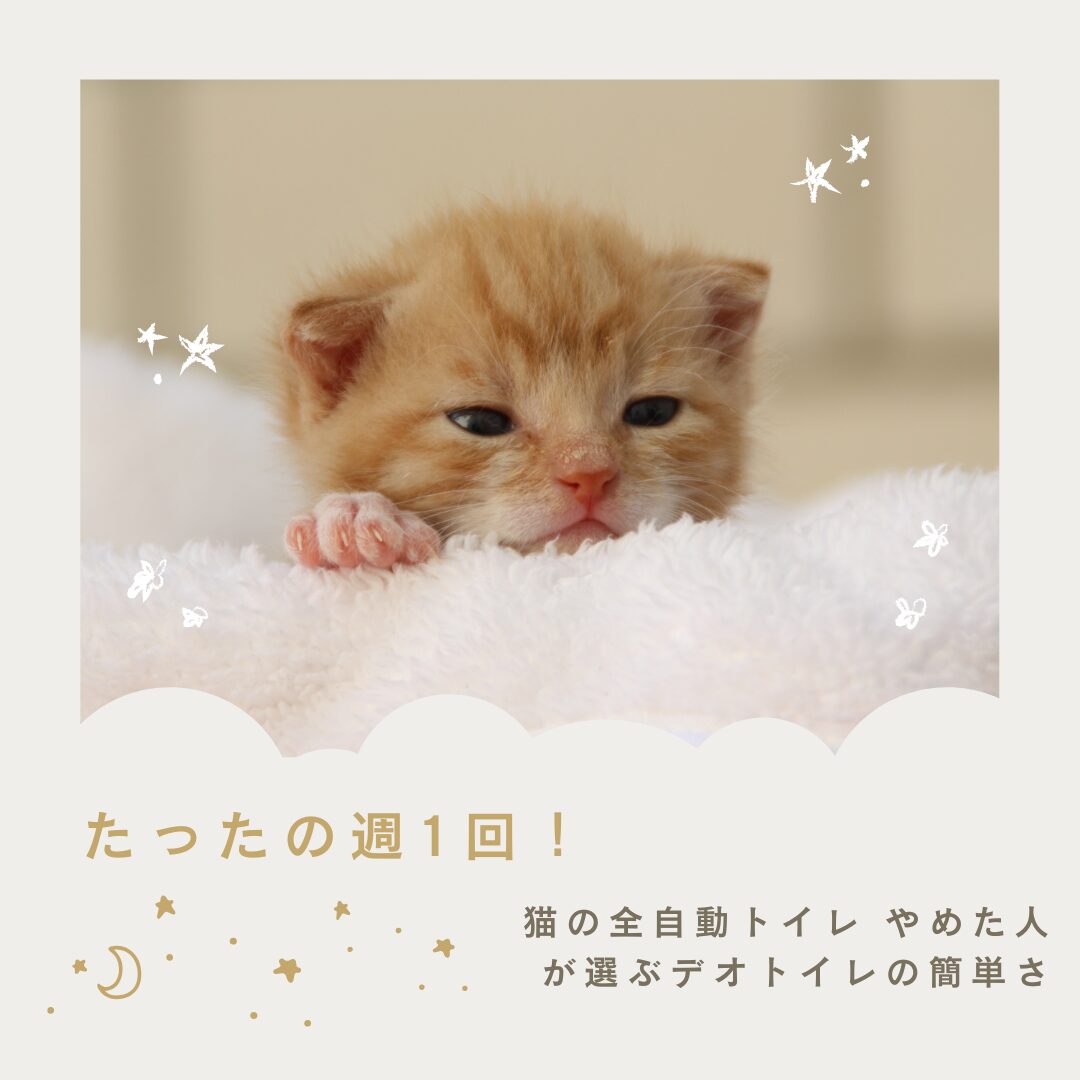 たったの週1回！猫の全自動トイレ やめた人が選ぶデオトイレの簡単さ