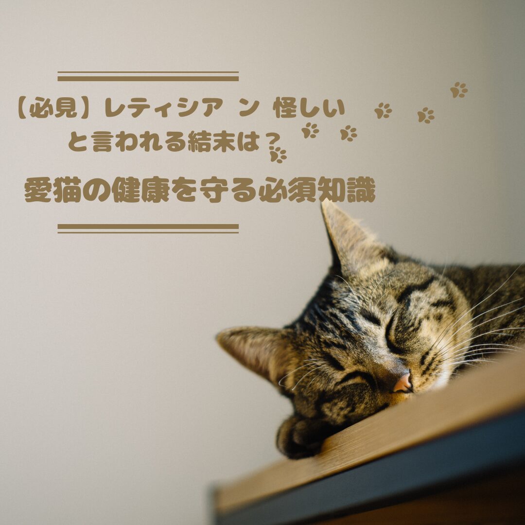 【必見】レティシア ン 怪しいと言われる結末は？愛猫の健康を守る必須知識