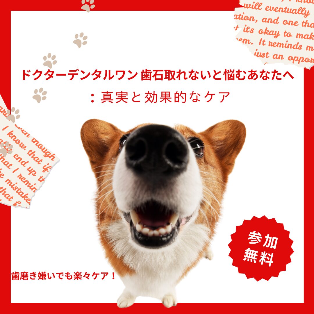 ドクターデンタルワン-歯石取れない